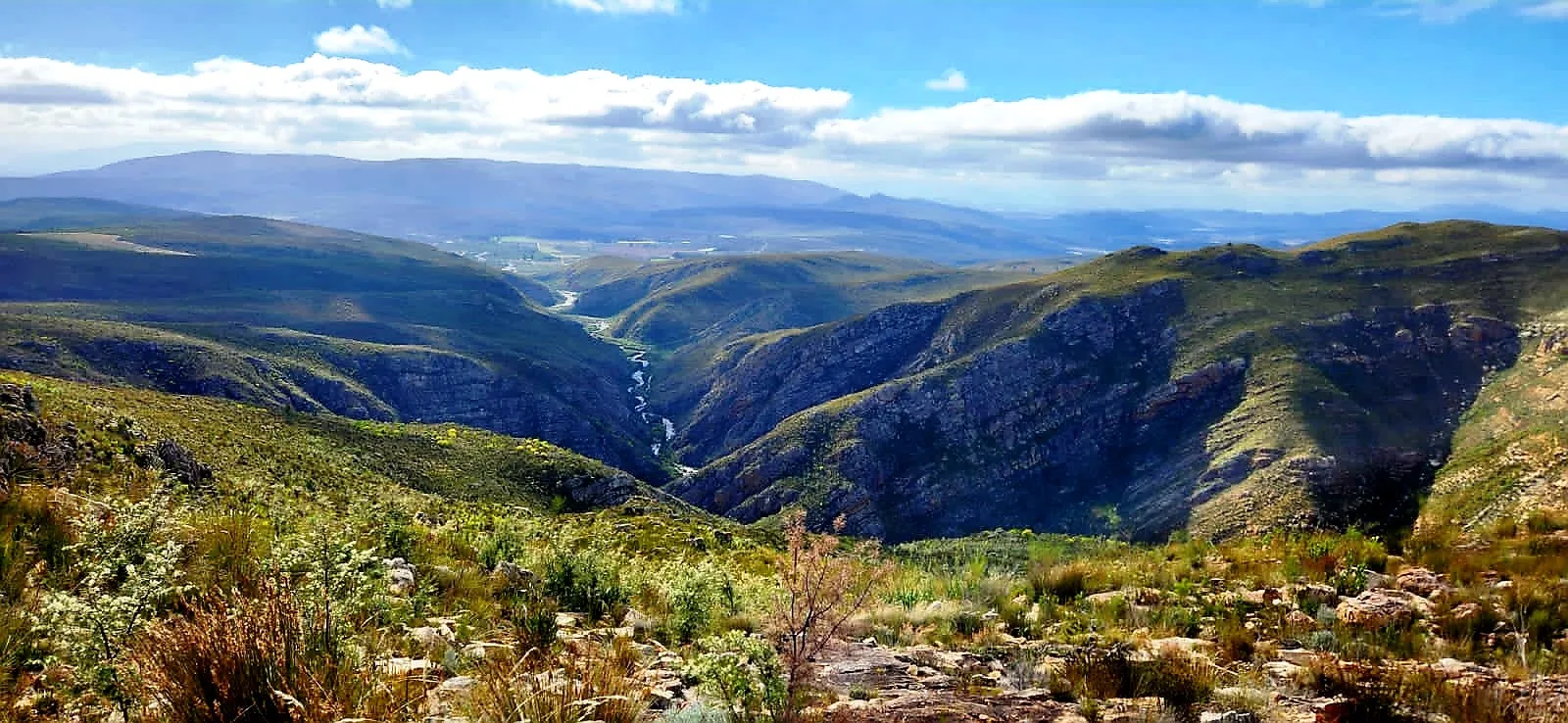 Trail and mountain scenery
